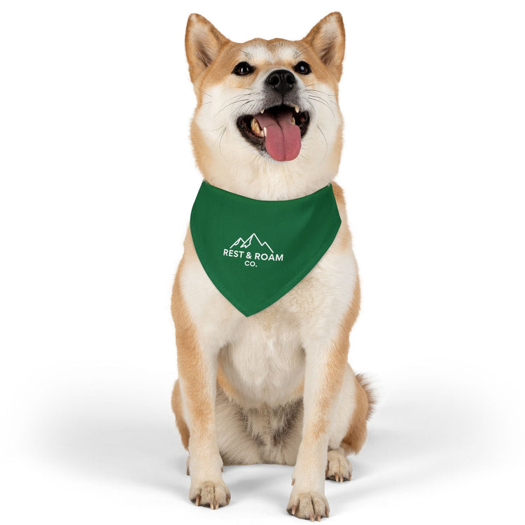 A dog wearing a Rest & Roam green collar, representing everyday accessories for dogs who roam alongside their people.