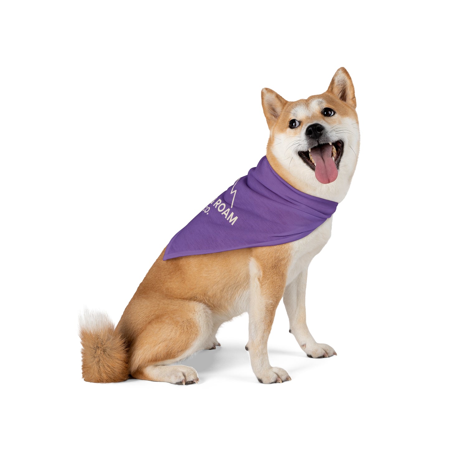 Rest & Roam Co. Pet Bandana — Purple Triangle Dog Bandana