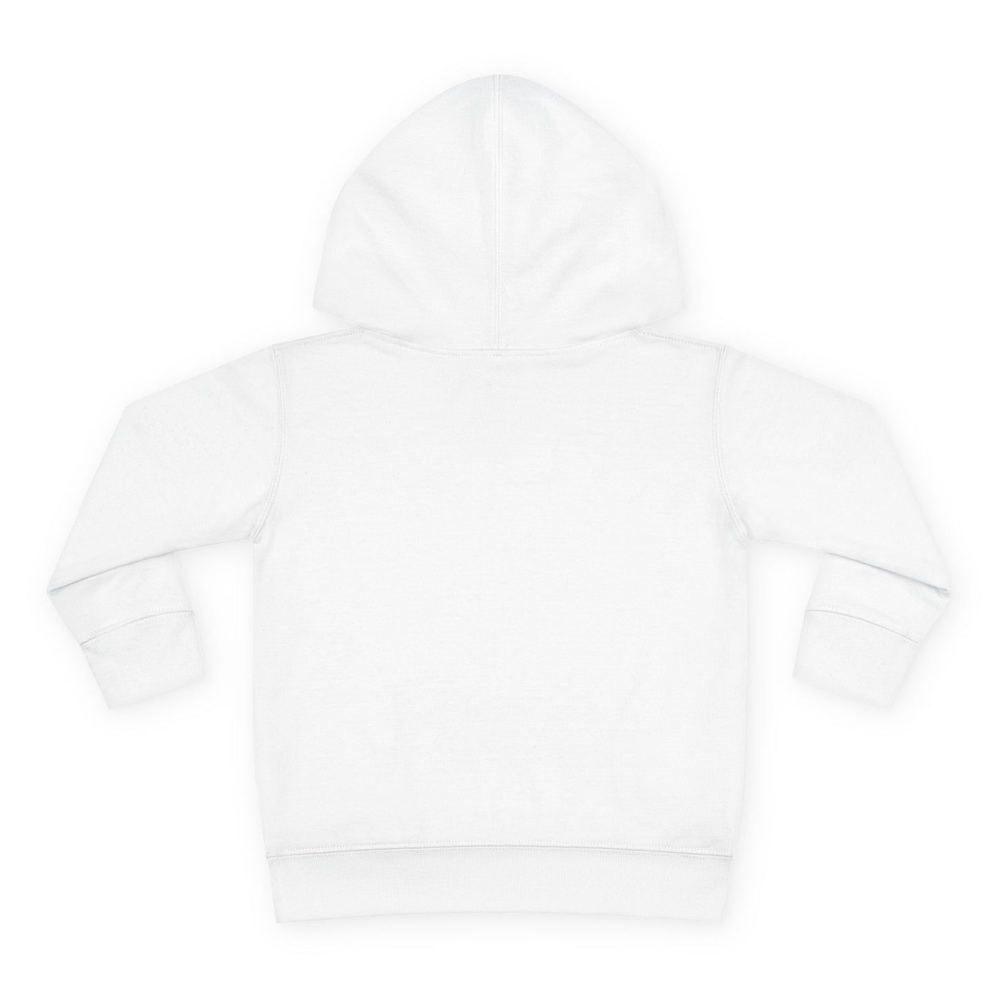 Toddler Hoodie — Rest & Roam Youth Mountain Pullover Hoodie