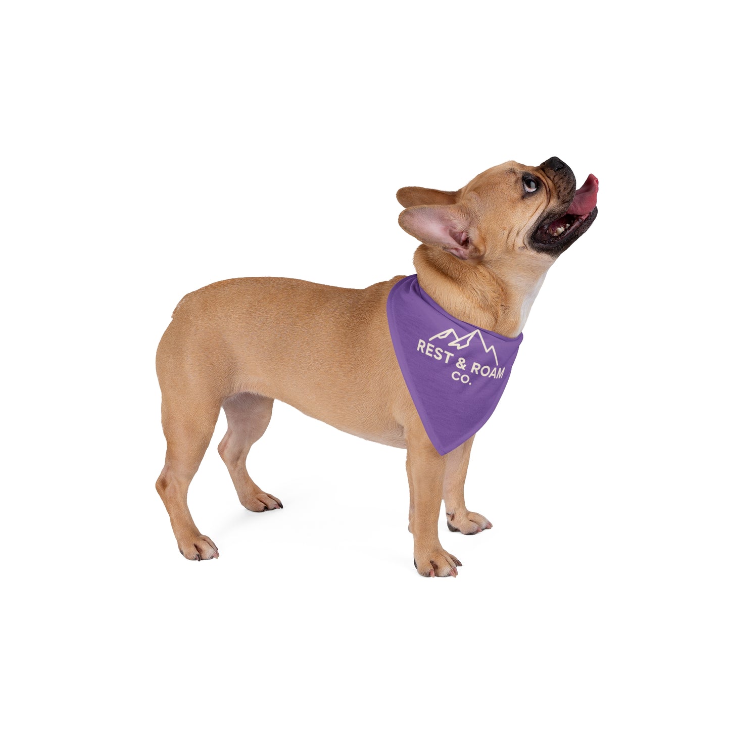 Rest & Roam Co. Pet Bandana — Purple Triangle Dog Bandana
